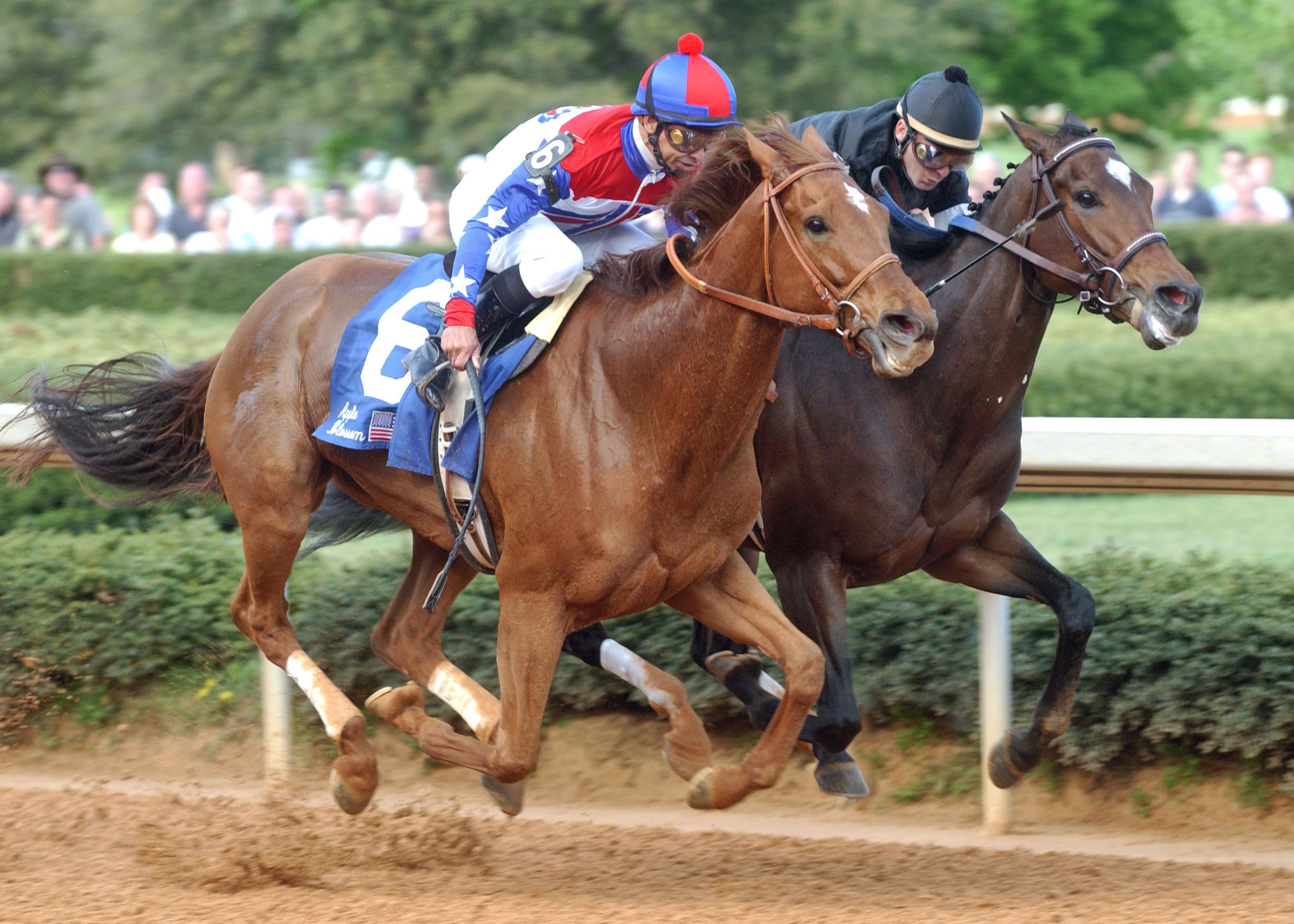 Azeri, left with Mike Smith up, 2003 Apple Blossom Handicap at Oaklawn Park (Oaklawn Park Photo)
