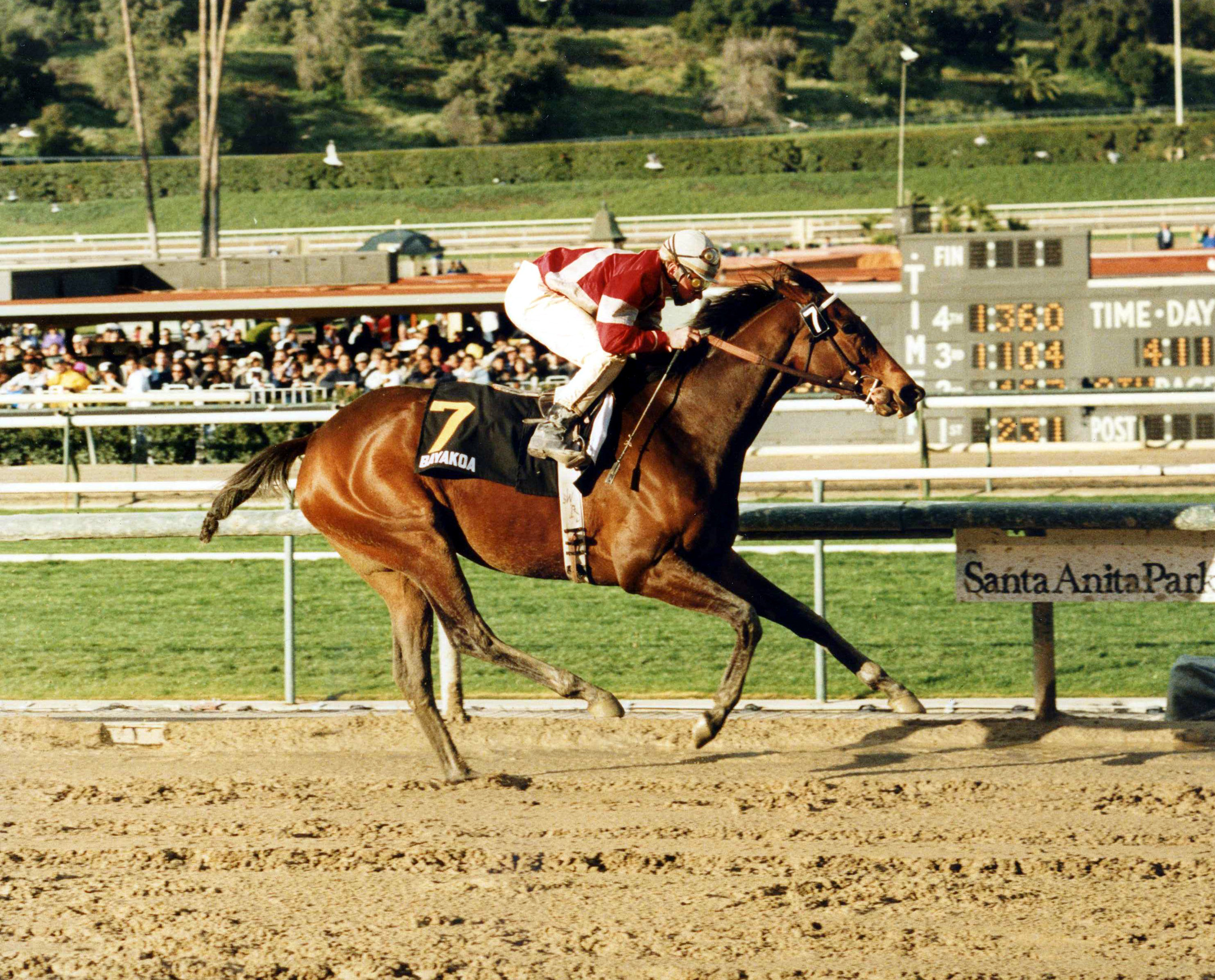 Bayakoa (Chris McCarron up) winning the 1990 Santa Margarita Handicap at Santa Anita Park (Santa Anita Photo/Museum Collection)