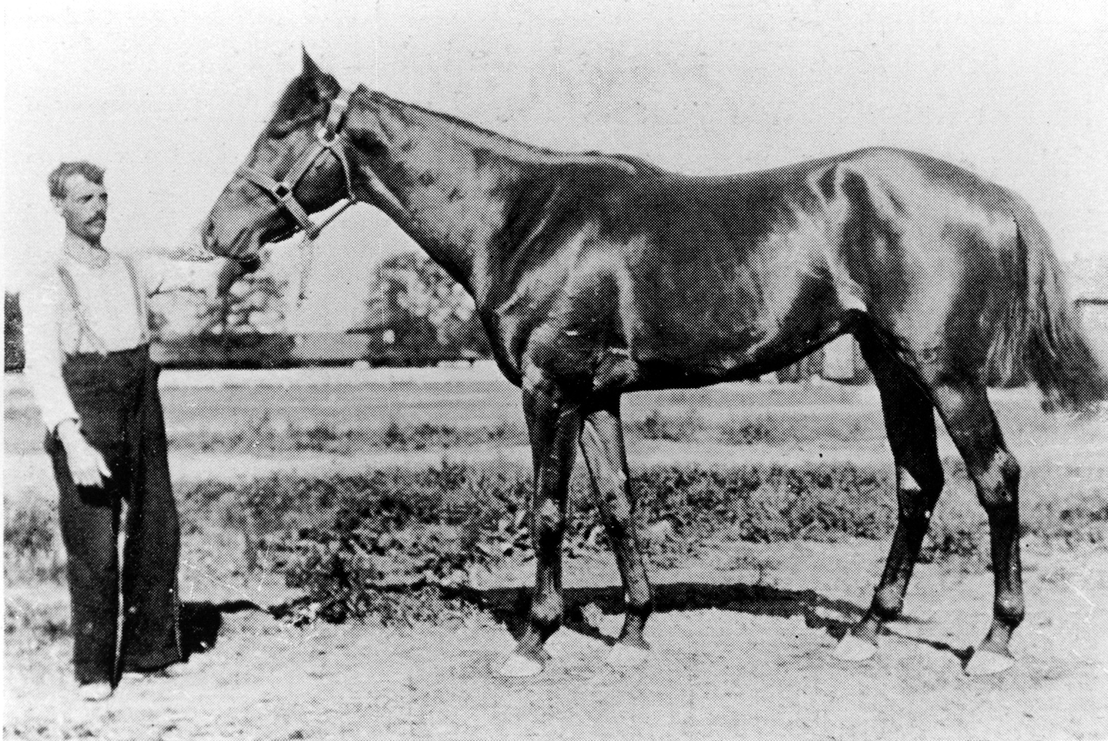 Ben Brush with handler (Keeneland Library Collection/Museum Collection)