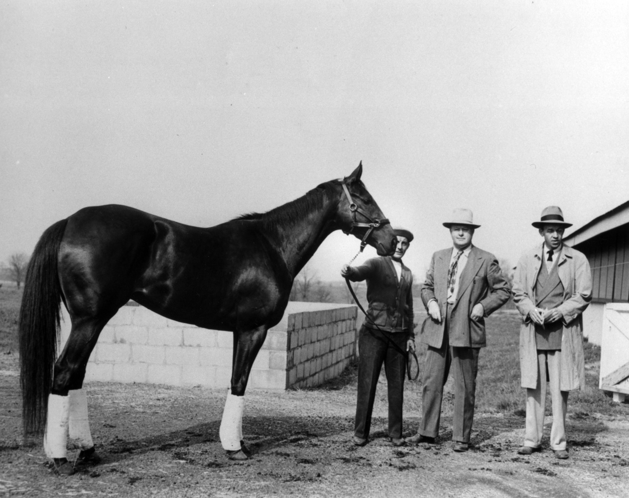 Bewitch with Harry Smith, trainer Ben Jones and Paul Ebelhardt, April 1948 (The BloodHorse/Museum Collection)
