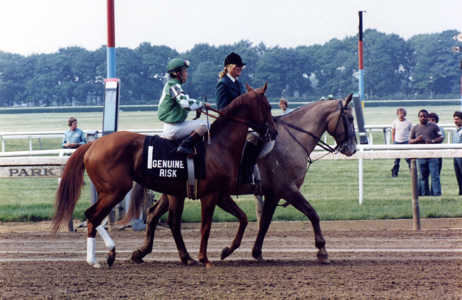 Genuine Risk (Jacinto Vasquez up) in the post parade for the 1980 Belmont Stakes. Like the Preakness, she finishes in second place (Barbara D. Livingston/Museum Collection)