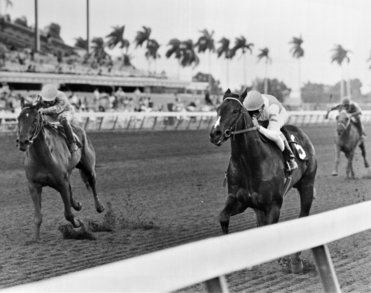 Housebuster (Craig Perret up) charging down the stretch to win the 1990 Spectacular Bid Stakes at Gulfstream Park (Jim Raftery Turfotos)
