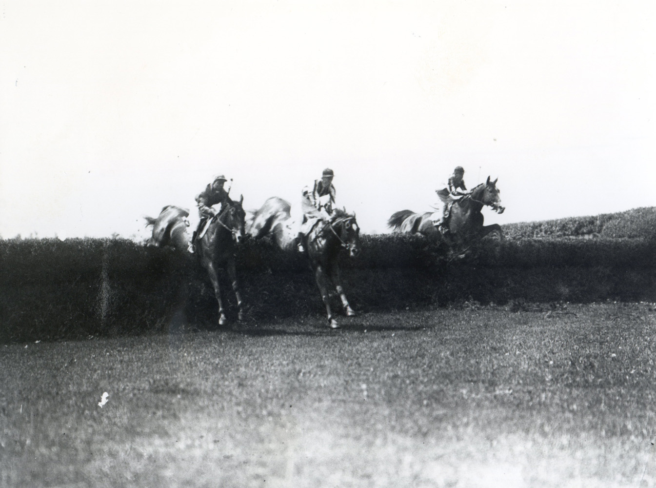Jolly Roger (far right) taking a jump in the 1928 Charles Appleton Memorial Cup Steeplechase at Belmont Park (Keeneland Library Cook Collection/Museum Collection)