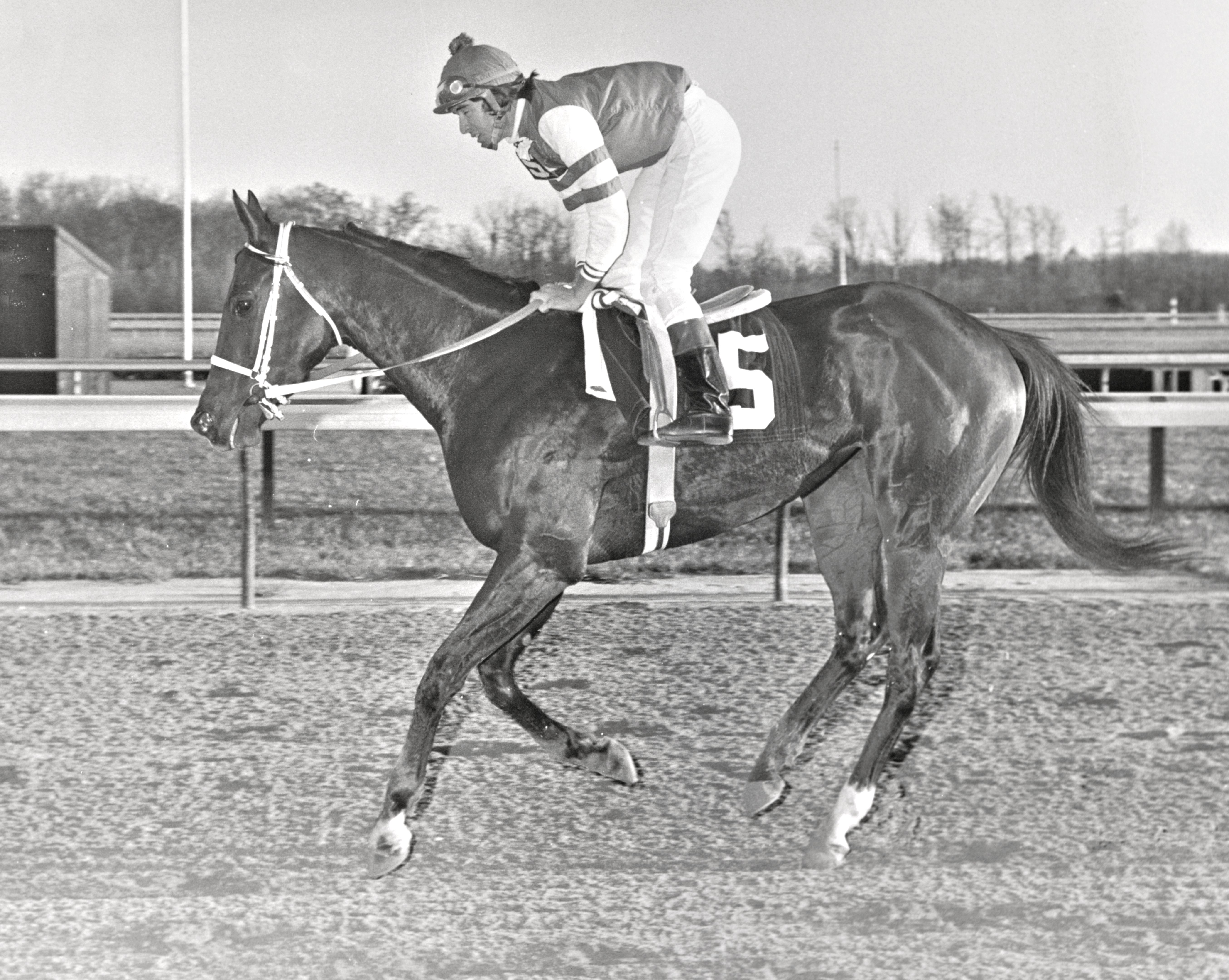 My Juliet, Darrel McHargue up, 1975 (Keeneland Library Thoroughbred Times Collection)