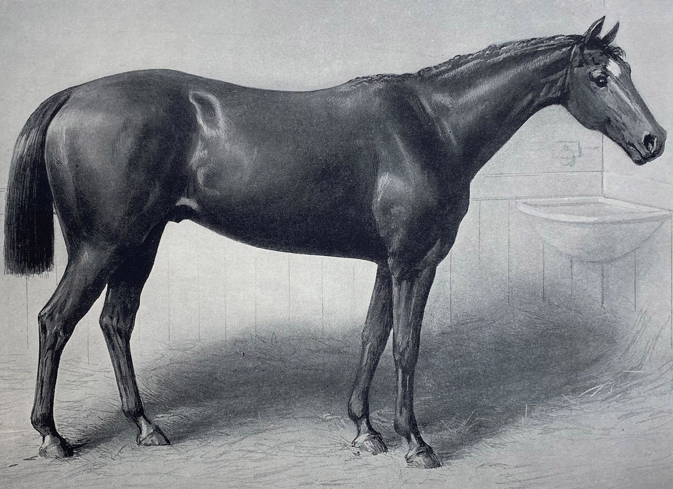 Illustration of Longfellow from "Racing in America, 1866-1921" (Museum Collection)