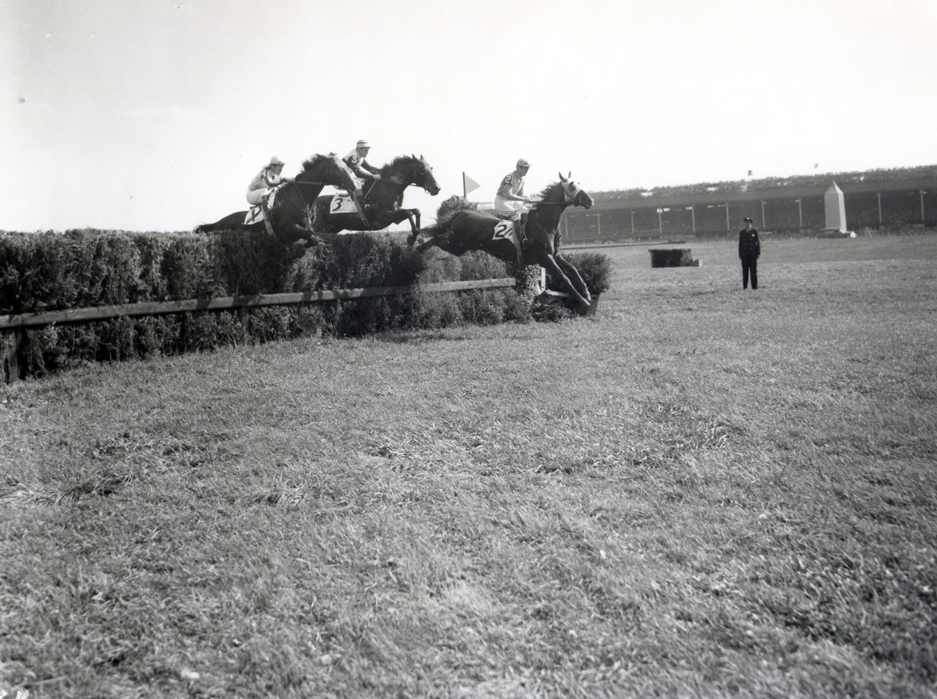 Neji (Frank Dooley Adams up) clearing a jump in the Broad Hollow Steeplechase at Belmont Park (Keeneland Library Morgan Collection/Museum Collection)