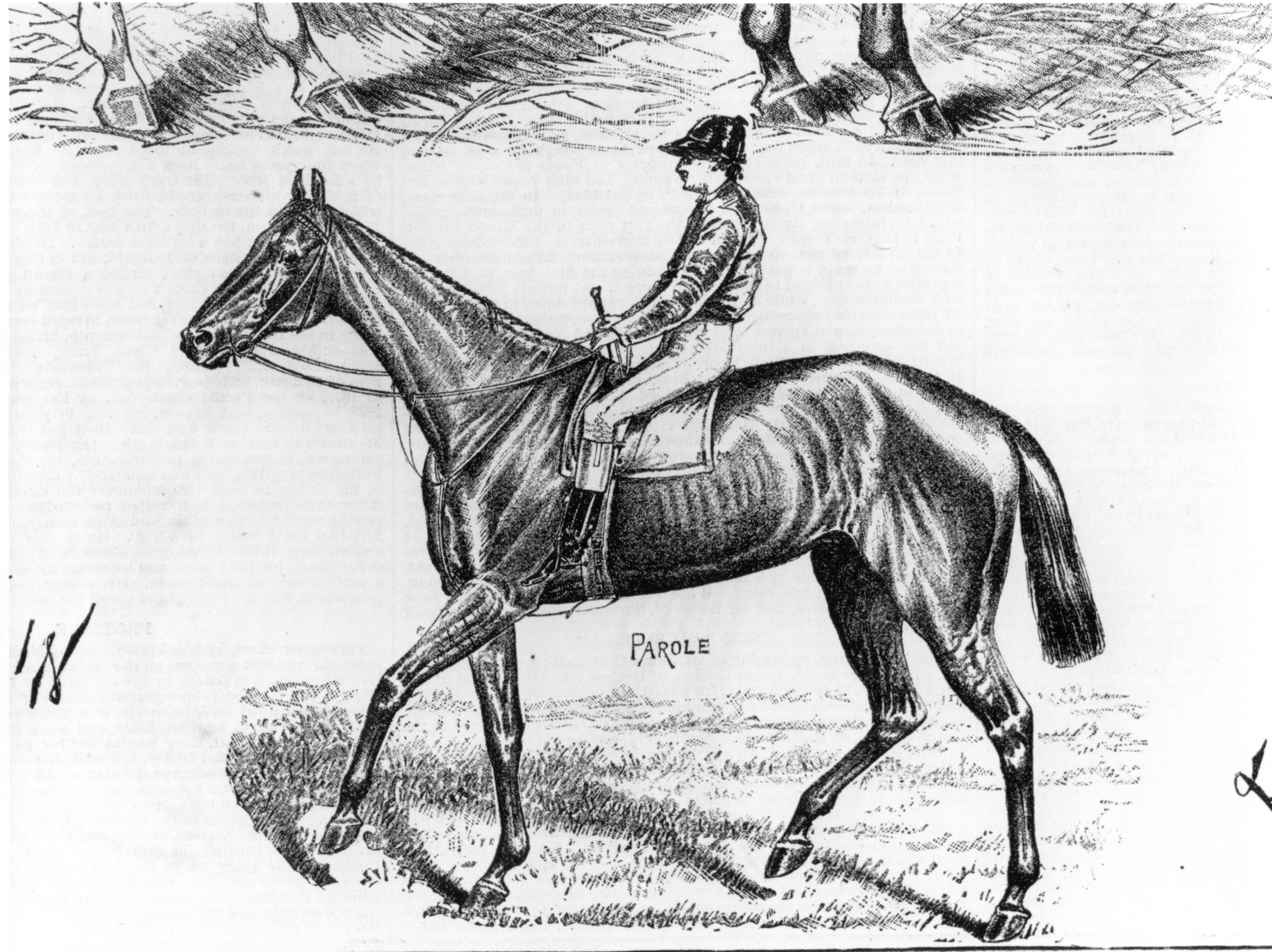 An illustration of Parole (Keeneland Library Collection/Museum Collection)