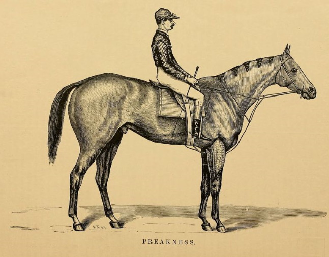 A likeness of Preakness with an unidentified rider from "Famous American Horses" (Keeneland Library Collection) 