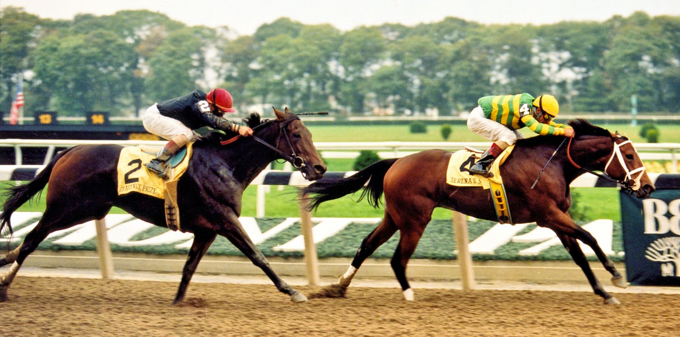 Serena's Song (Gary Stevens up) defeating Heavenly Prize in the 1995 Beldame at Belmont Park (Barbara D. Livingston/Museum Collection)
