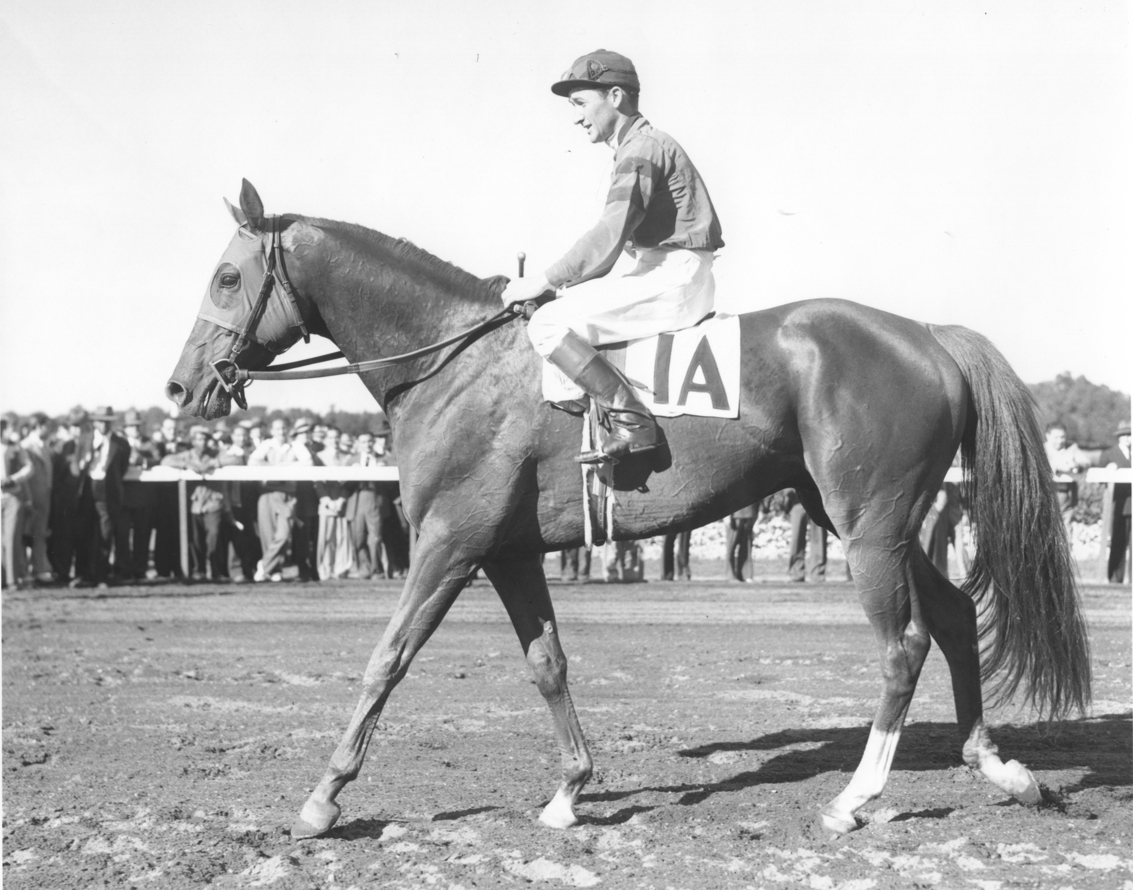 Alfred Robertson and Whirlaway in 1941 (Museum Collection)