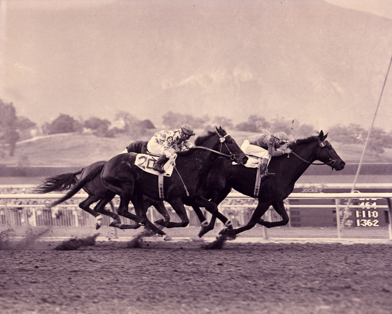 Ralph Neves and Cornhusker winning the 1957 Santa Anita Handicap (Santa Anita Photo/Museum Collection)