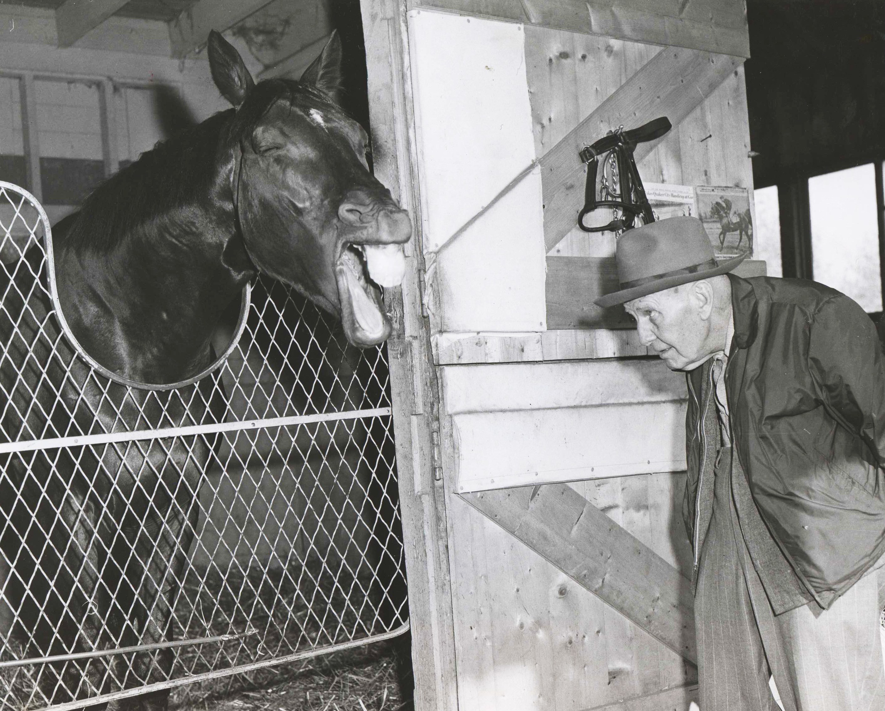 Nashua and James "Sunny Jim" Fitzsimmons having a talk in the barn area at Aqueduct, October 1956 (Bert and Richard Morgan/Museum Collection)