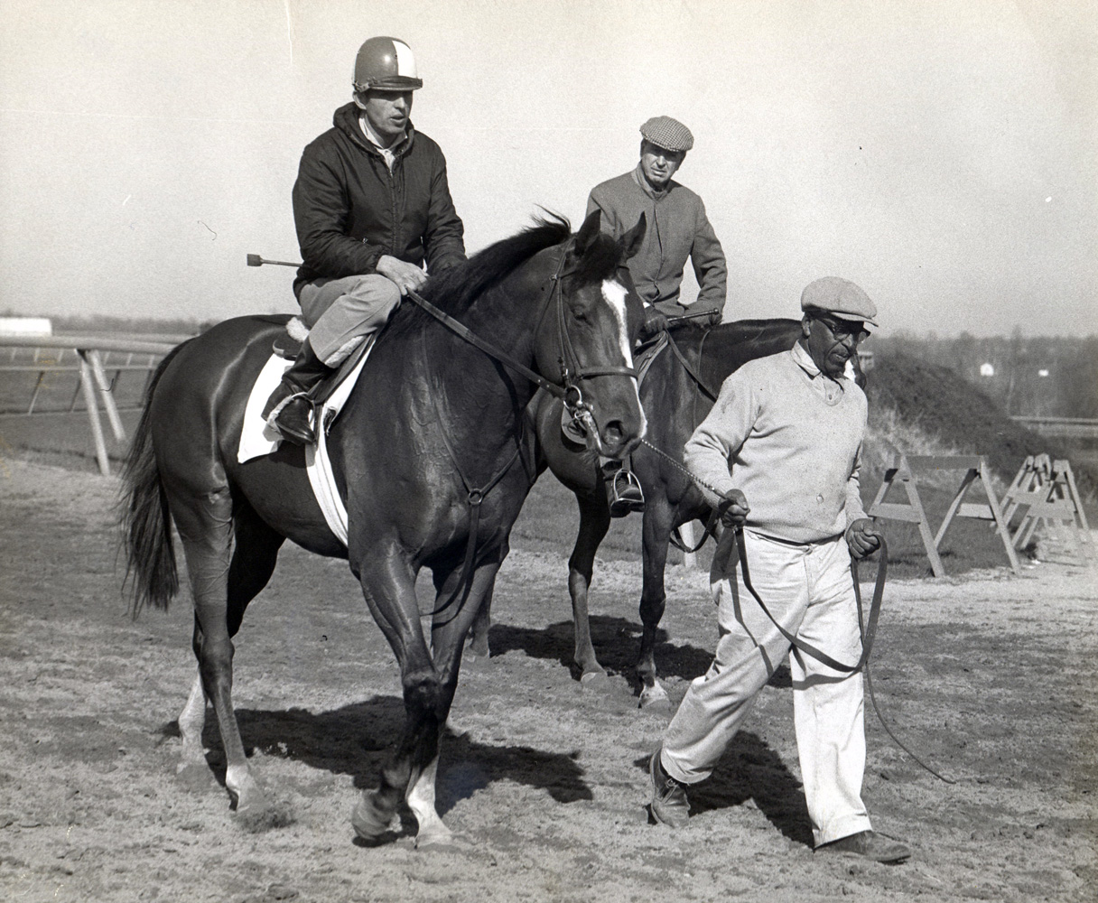 Horatio Luro (on horseback in background) joining Northern Dancer during training hours, April 1964 (Museum Collection)
